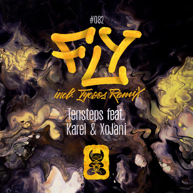 Fly (incl. Tycoos Remix) cover art