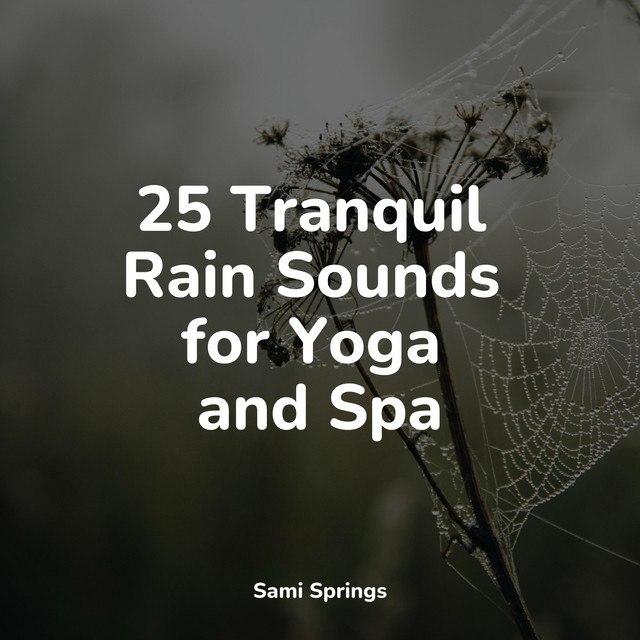 25 Tranquil Rain Sounds for Yoga and Spa - Album by Amazing Spa Music ...