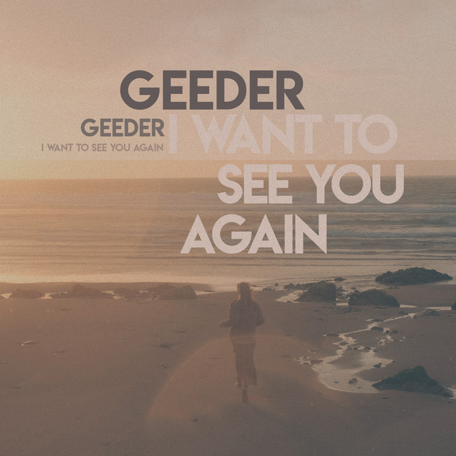 I Want to See You Again album image