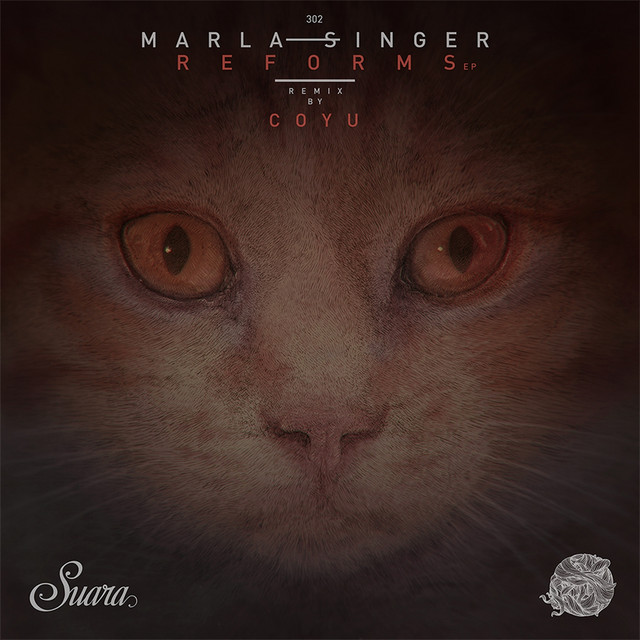 Transient - Coyu Raw Mix cover art