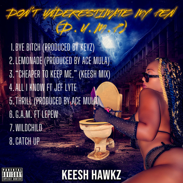 D.U.M.P (Don't Underestimate My Pen) cover art