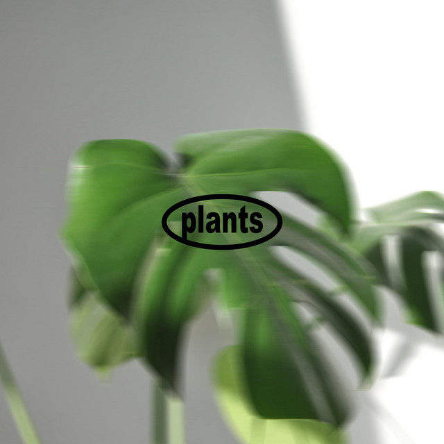 Plants cover art