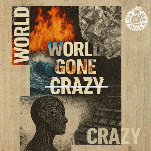 World Gone Crazy
