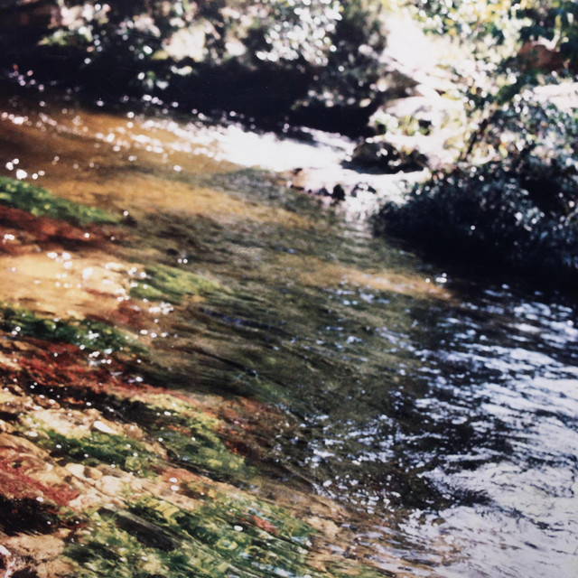 Ecos cover art