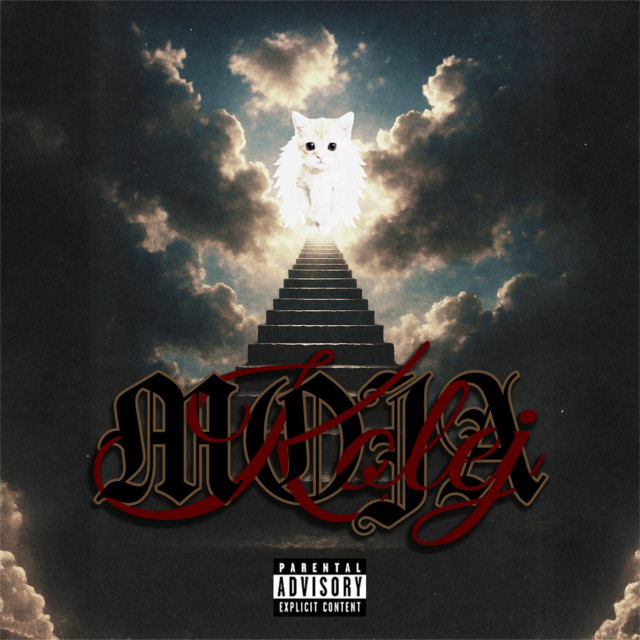 Moja kolej cover art