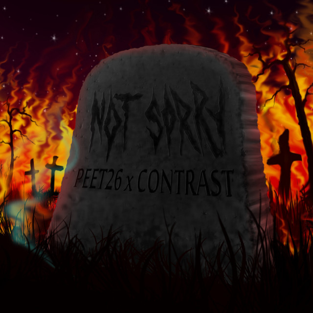 Not Sorry cover