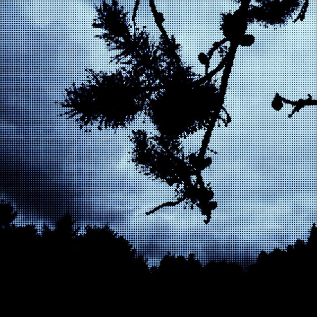 Reno cover