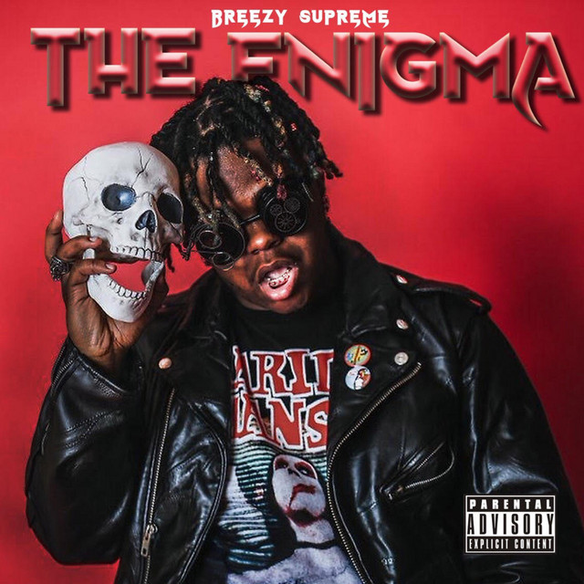 The Enigma cover art