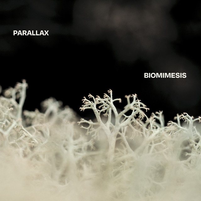 Biomimesis
