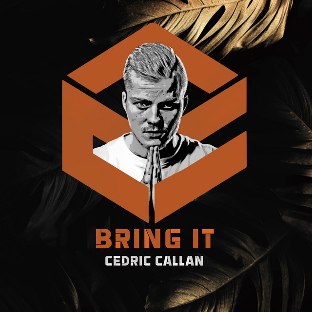 Bring It cover