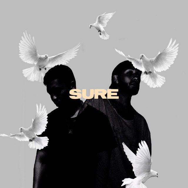 Sure cover art