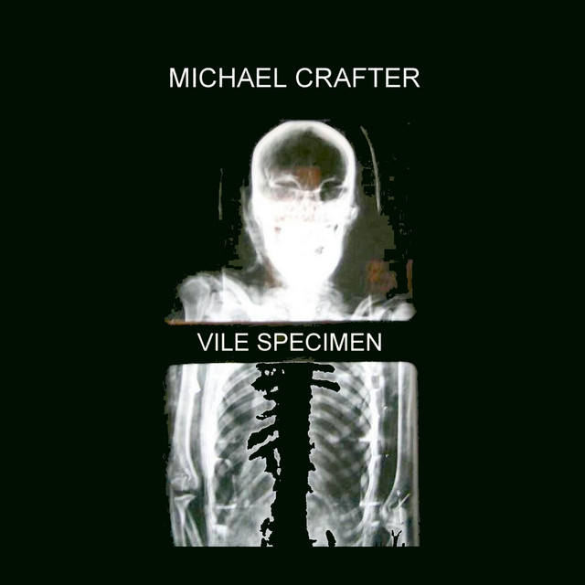 VILE SPECIMEN / MICHAEL CRAFTER split tape cover art