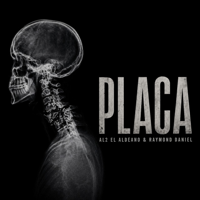 Placa album image