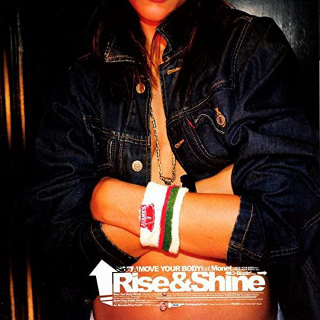 Blazin' cover