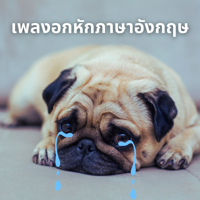 เพลงอกหักภาษาอังกฤษ