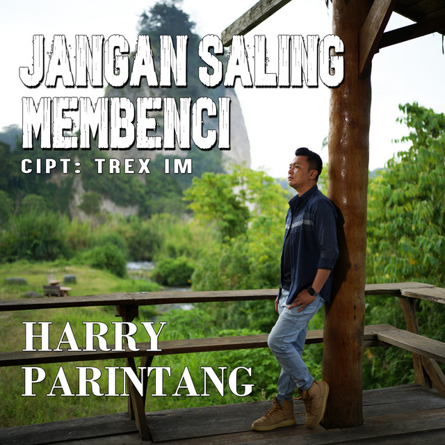 Harry Parintang - Jangan Saling Membenci album image