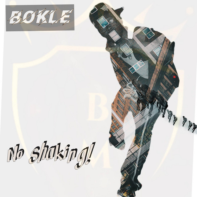 No Shaking ! cover art