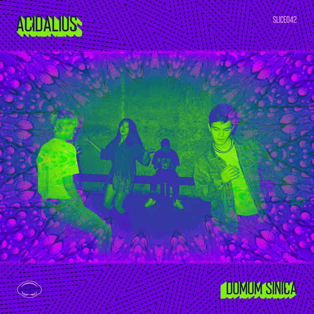Domum Sinica cover art