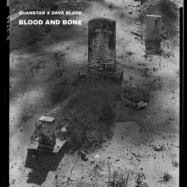 Blood and Bone cover art