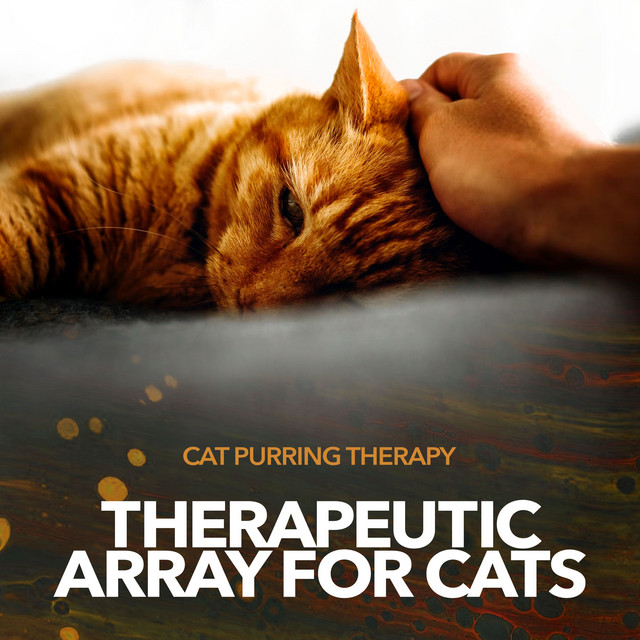 Beautiful view of Cat Purr Therapy For Osteoarthritis