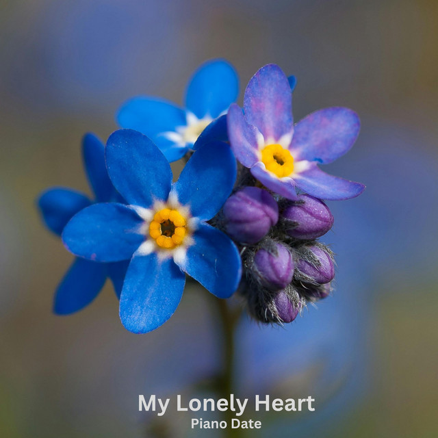 Обкладинка: My Lonely Heart — Piano Date