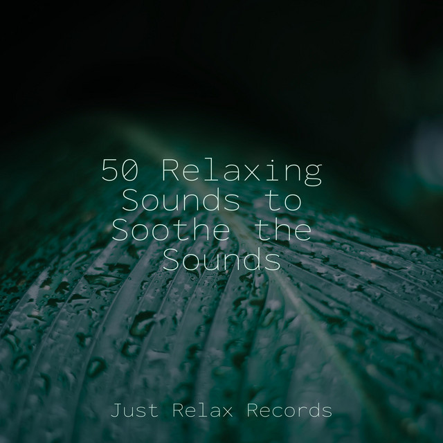 50 Relaxing Sounds to Soothe the Sounds - Album by Reiki Music | Spotify