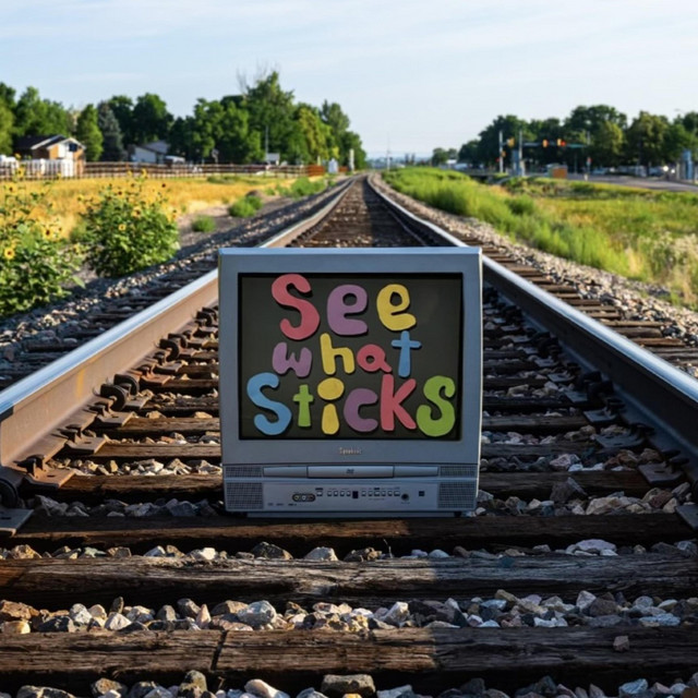See What Sticks cover art