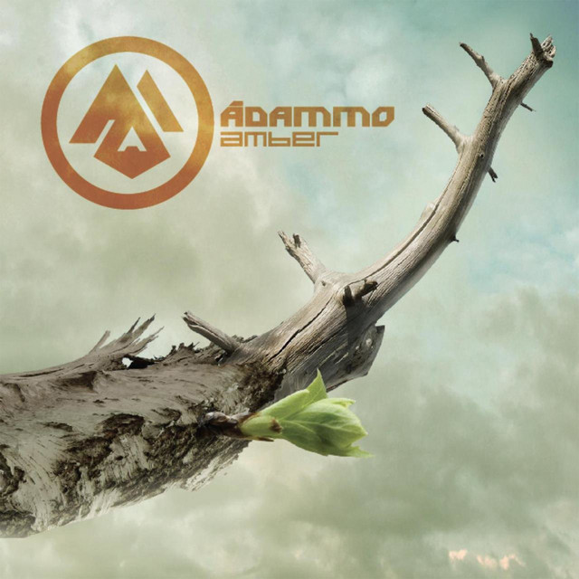 Amber cover art