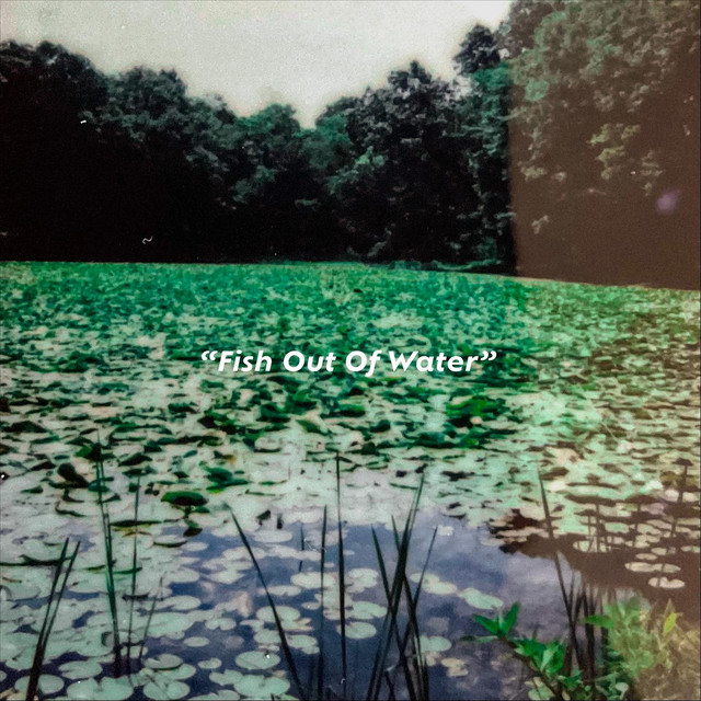 F.O.O.W. cover art