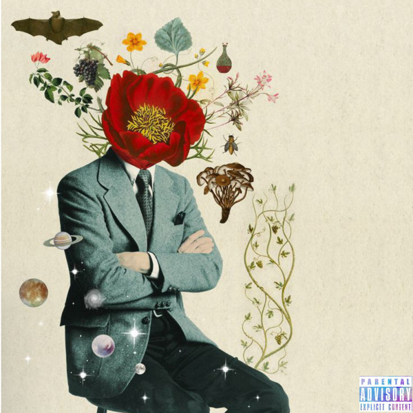 Hibiscus cover art