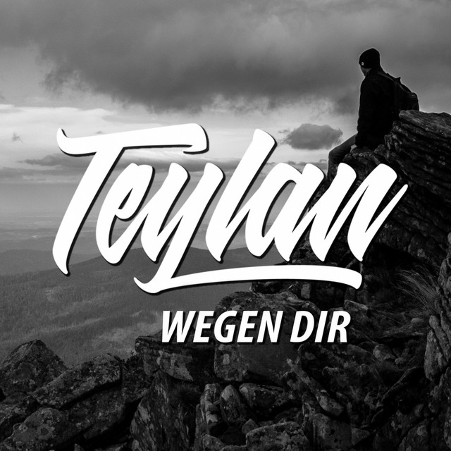 Wegen Dir cover art