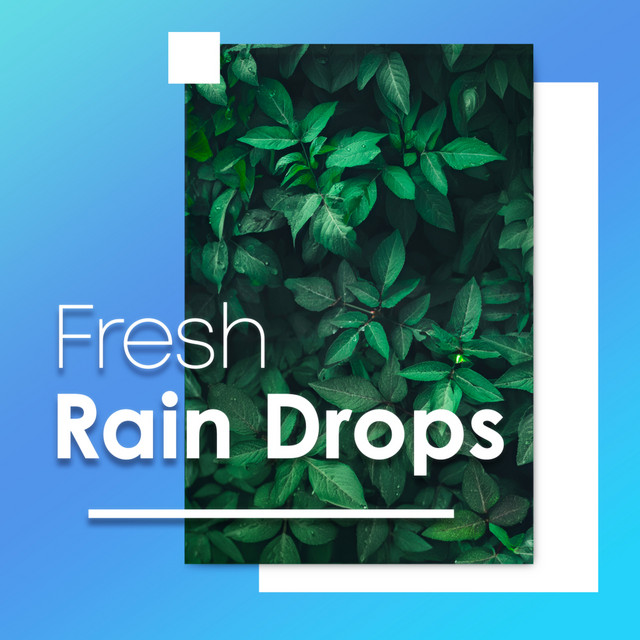 Fresh Rain Drops by Rain Recorders