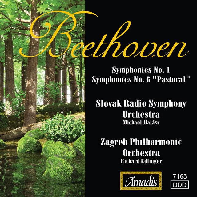Symphony No. 1 in C Major, Op. 21: II. Andante cantabile con moto cover art