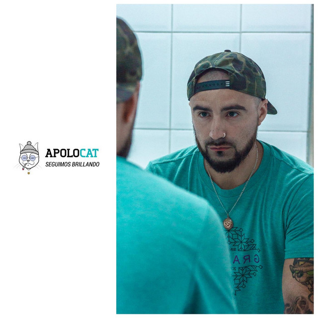 Apolocat