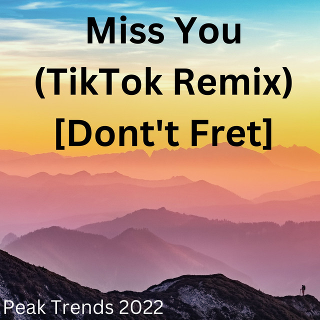 Miss You (TikTok Remix) [Dont't Fret] cover art