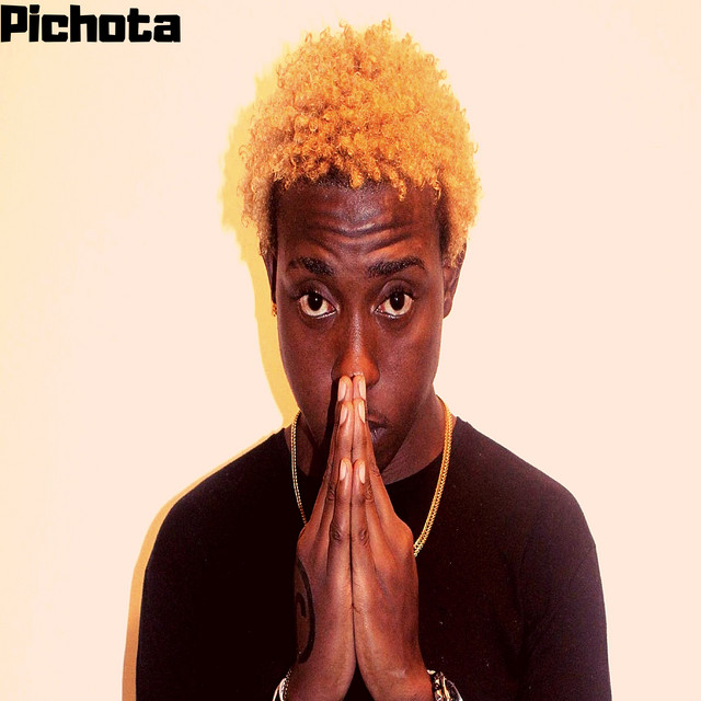 Pichota