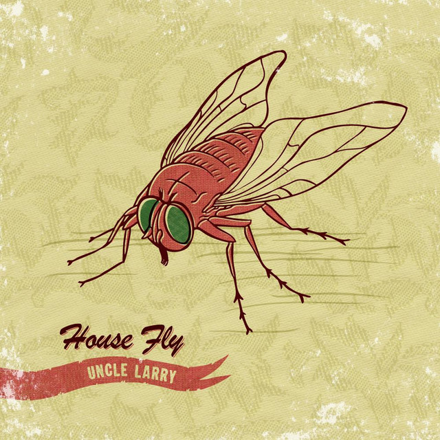 House Fly cover