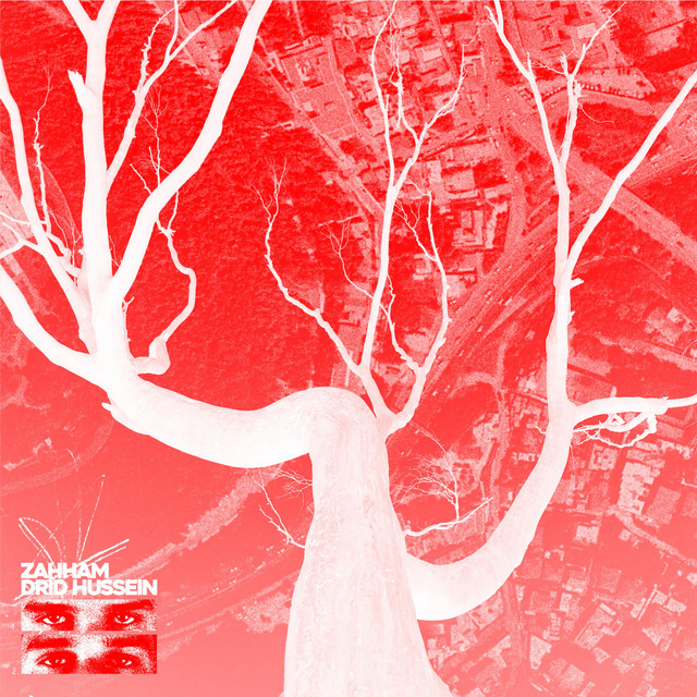 DRID HUSSEIN cover art