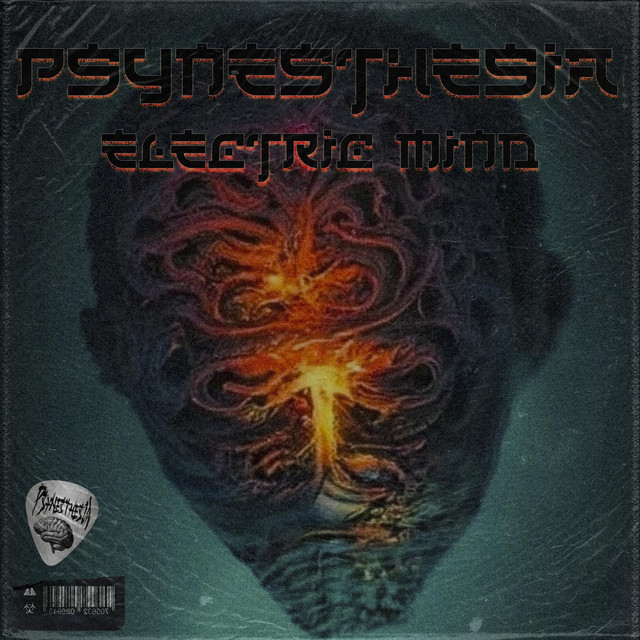 PsyNES Photo
