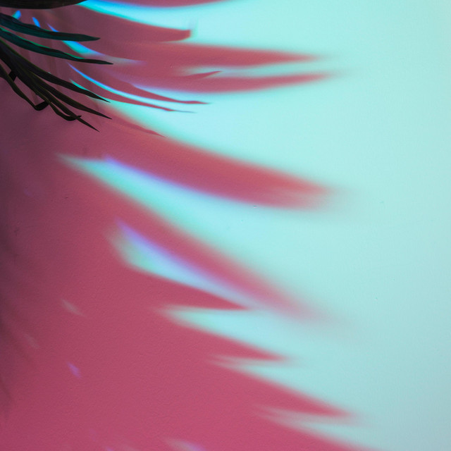 skylight artwork