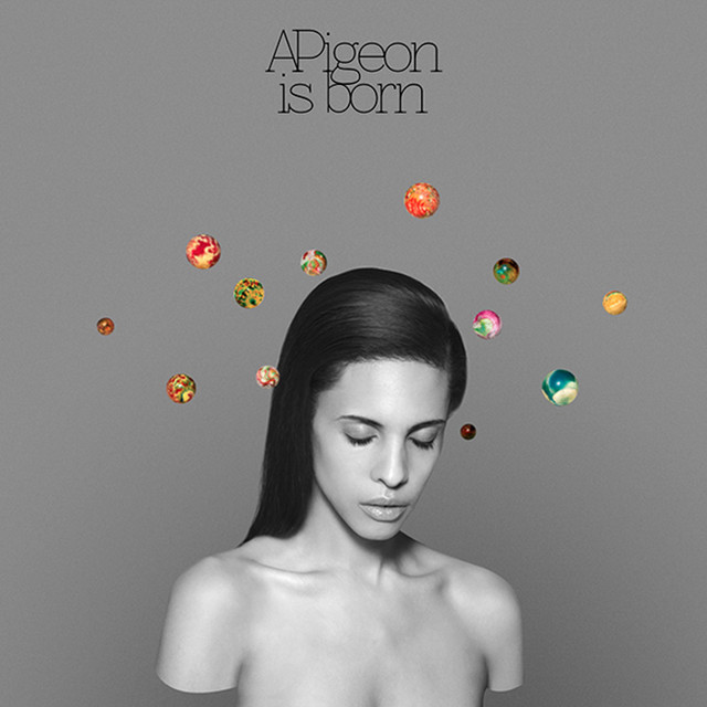 APigeon is born cover art