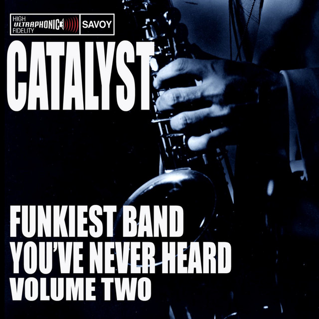 The Funkiest Band You Never Heard cover art