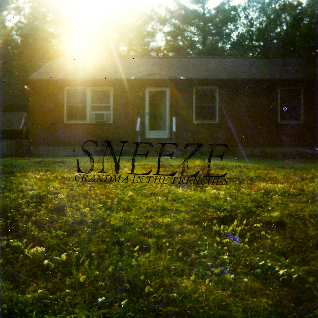 Grandma In The Trenches cover art