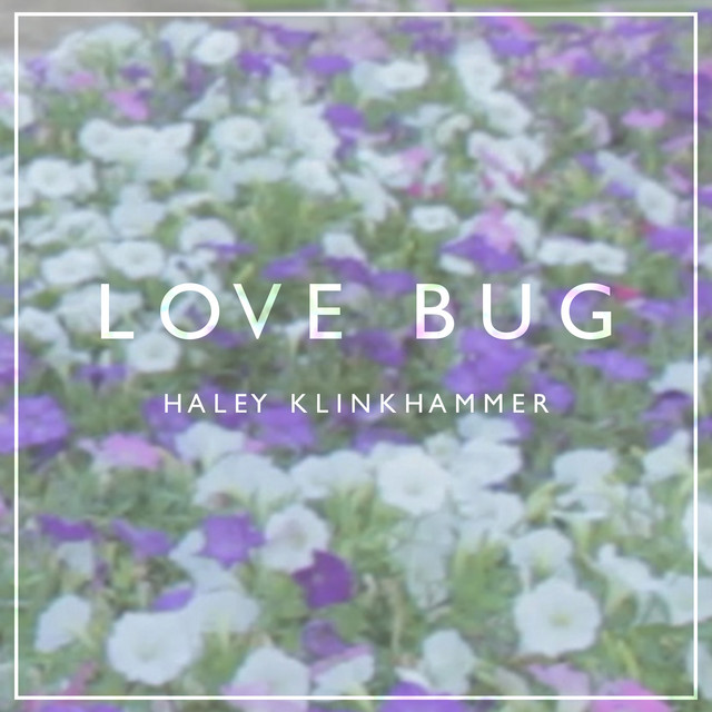 Love Bug cover art