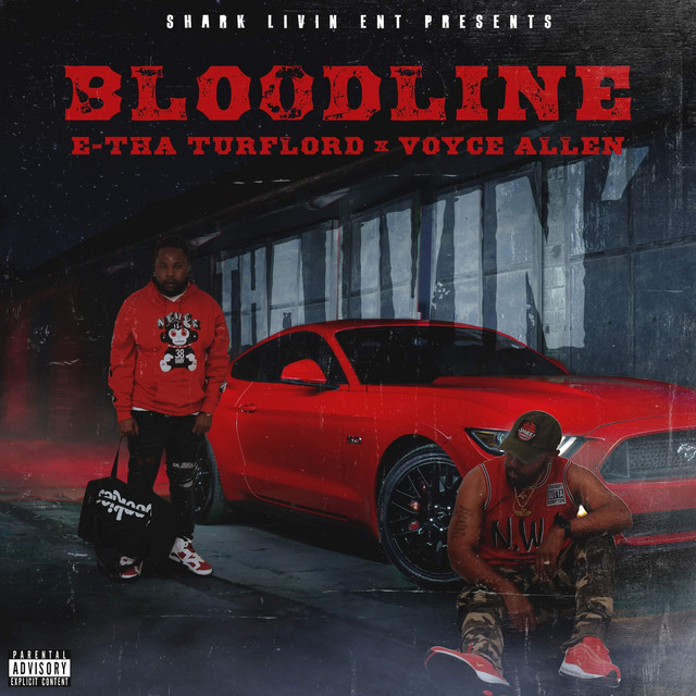 BLOOD LINE cover art