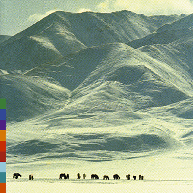 Voices from the Distant Steppe cover art