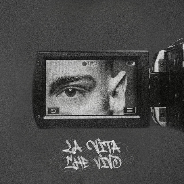 LA VITA CHE VIVO cover art