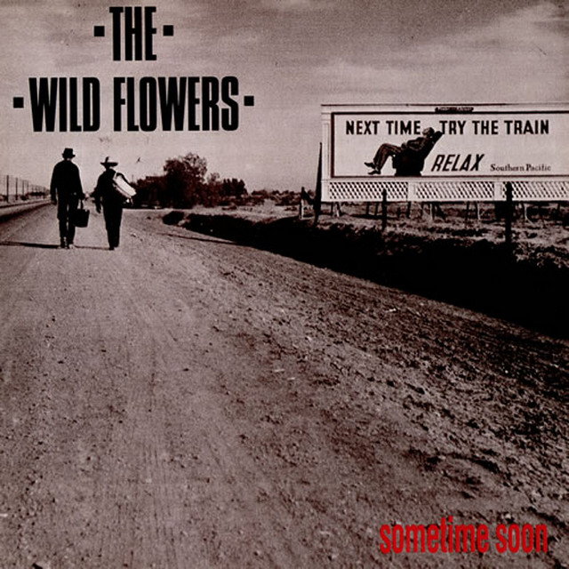 Wild Flowers Photo