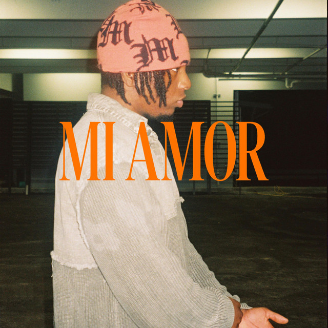 MI AMOR cover art