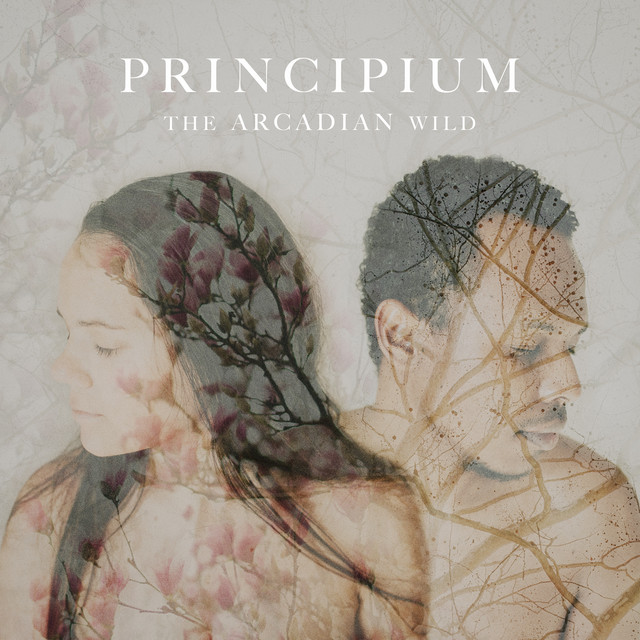 Principium album image